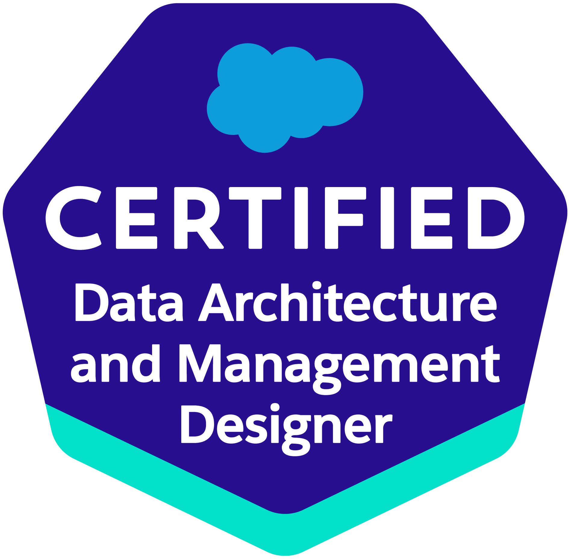 Platform Data Architect Salesforce Certified Platform Data Architect